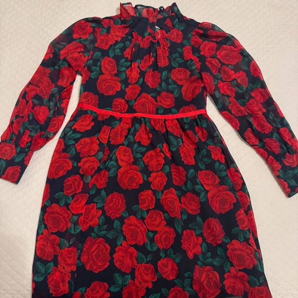 Janie & Jack Navy dress with red roses